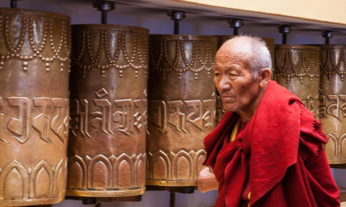 Dolma Ling Nunnery in Dharamshala