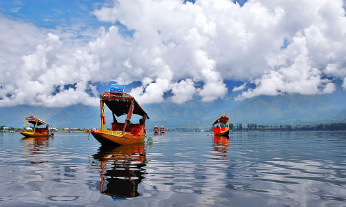 Kashmir