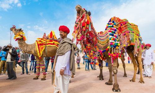 Pushkar Fair Tour