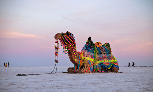 Rann of Kutch